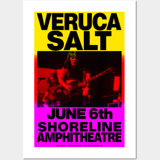 Veruca Salt Riso Style Concert Poster Posters and Art